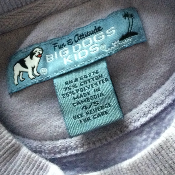 Big Dogs Lilac Ballerina Sweatshirt - Picture 3 of 4